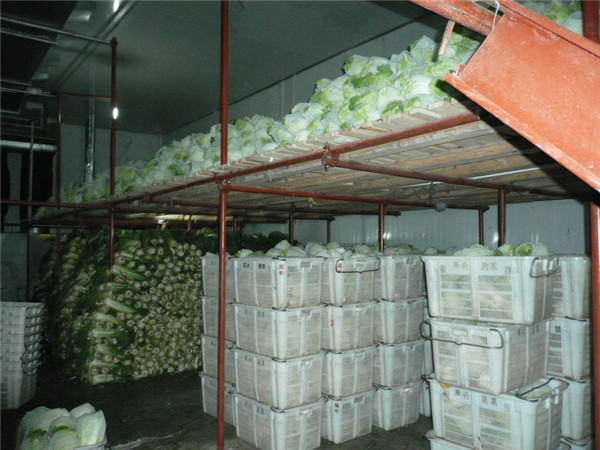 蔬菜保鲜冷库,蔬菜保鲜冷库厂家,蔬菜保鲜冷库建造,蔬菜保鲜冷库设计,蔬菜保鲜冷库价格表